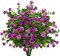 Artificial Flowers, Fake Outdoor UV Resistant Plants Faux Plastic Greenery Shrubs Indoor Outside Hanging Planter Home Kitchen Office Wedding Garden Decor (Magenta)